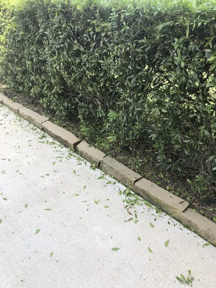 Custom landscape design in Richmond, TX by GREENSCAPE ASSOCIATES