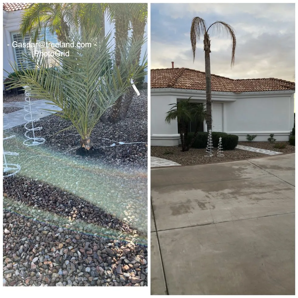 Affordable yard cleanup service in Mesa, AZ by Greenscape Az