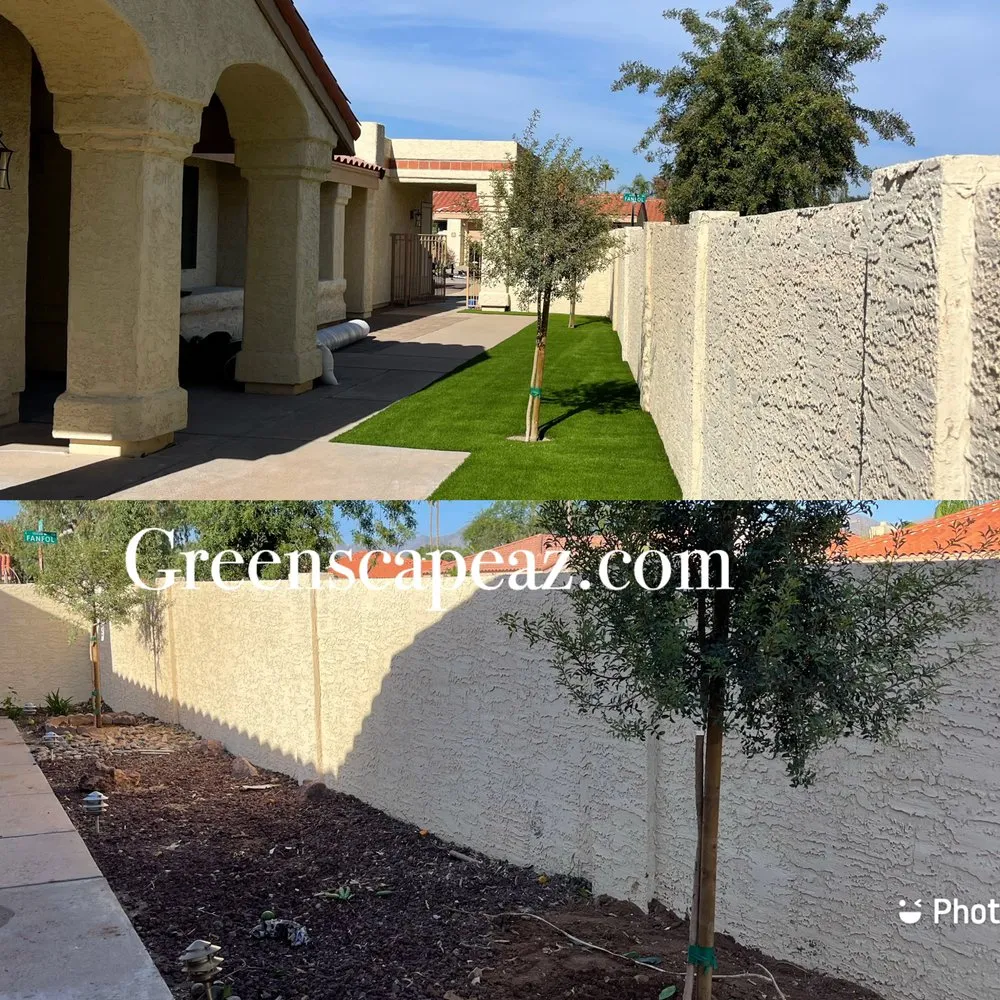Affordable landscape installation experts serving Mesa, AZ - Greenscape Az