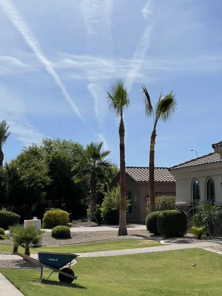 Custom landscape design for outdoor upgrades in Mesa, AZ by Greenscape Az