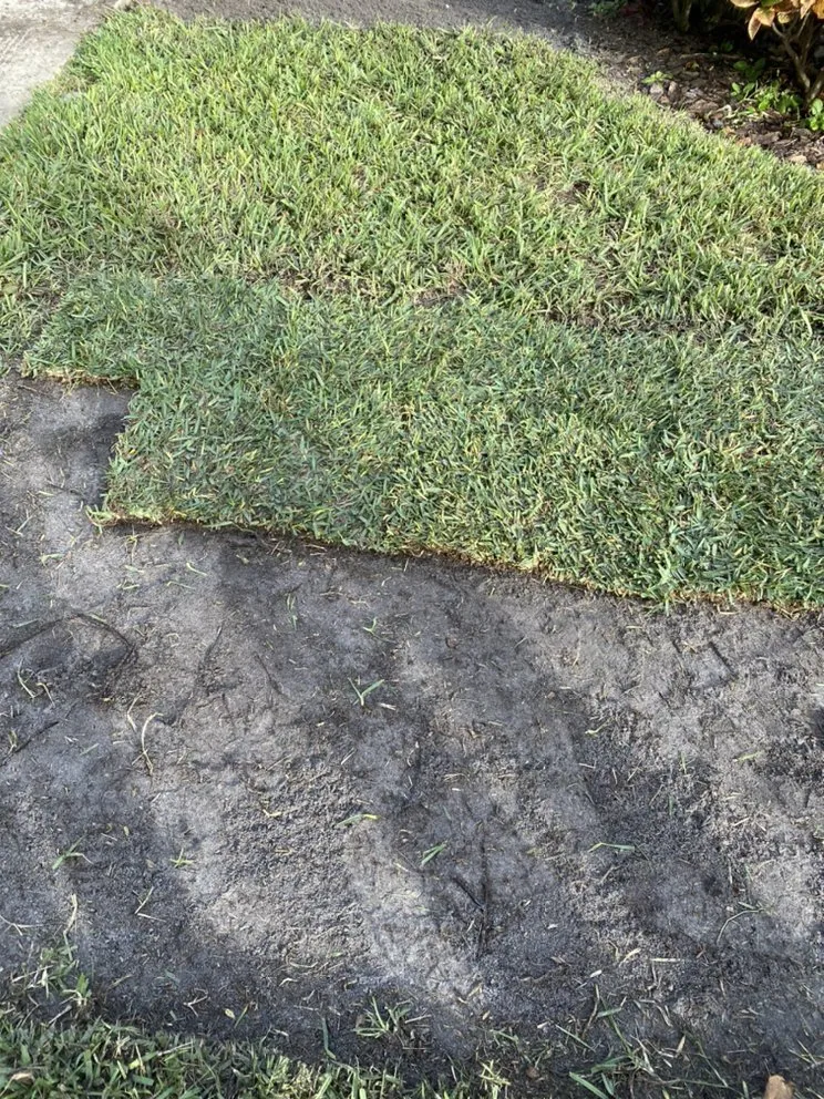 Reliable landscaping services in Bradenton, FL - Greenscape