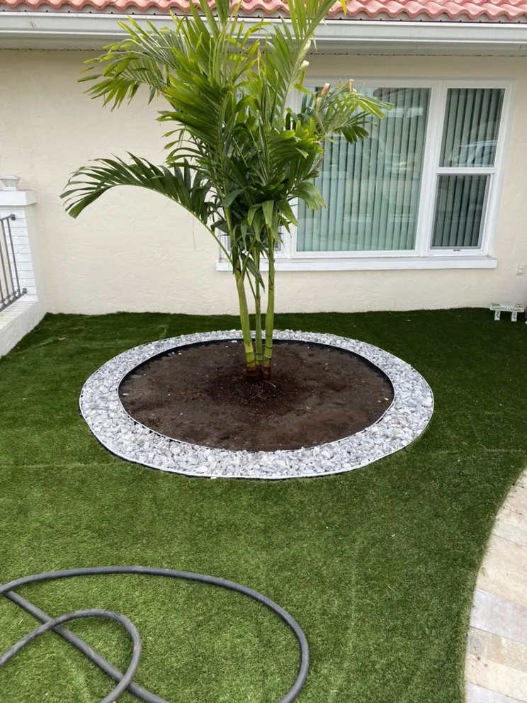 Reliable lawn care service for residential properties across Bradenton, FL - Greenscape