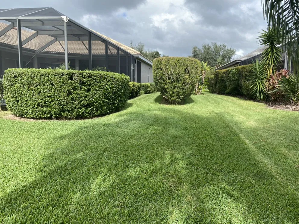 Trusted outdoor landscaping in Bradenton, FL - Greenscape