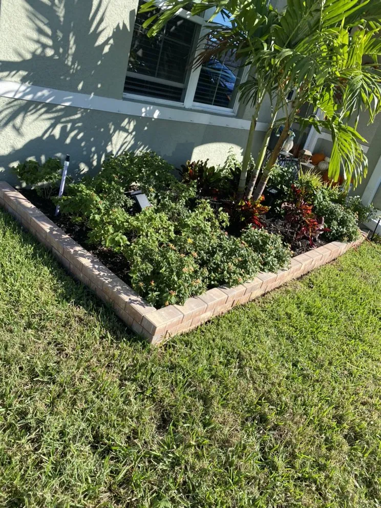 Reliable landscaping services in Bradenton, FL by Greenscape