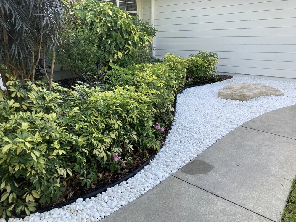 Expert outdoor landscaping experts serving Bradenton, FL - Greenscape