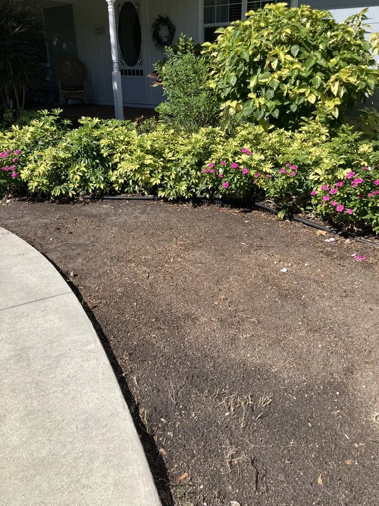 Expert garden landscaping in Bradenton, FL by Greenscape