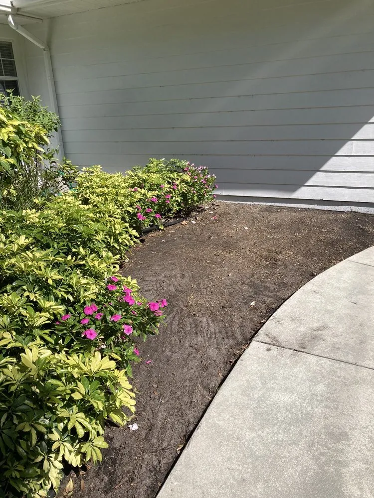 Expert yard maintenance in Bradenton, FL - Greenscape