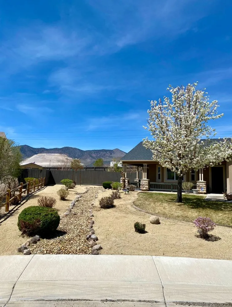 Affordable landscape design experts serving Carson City, NV - Greenscape