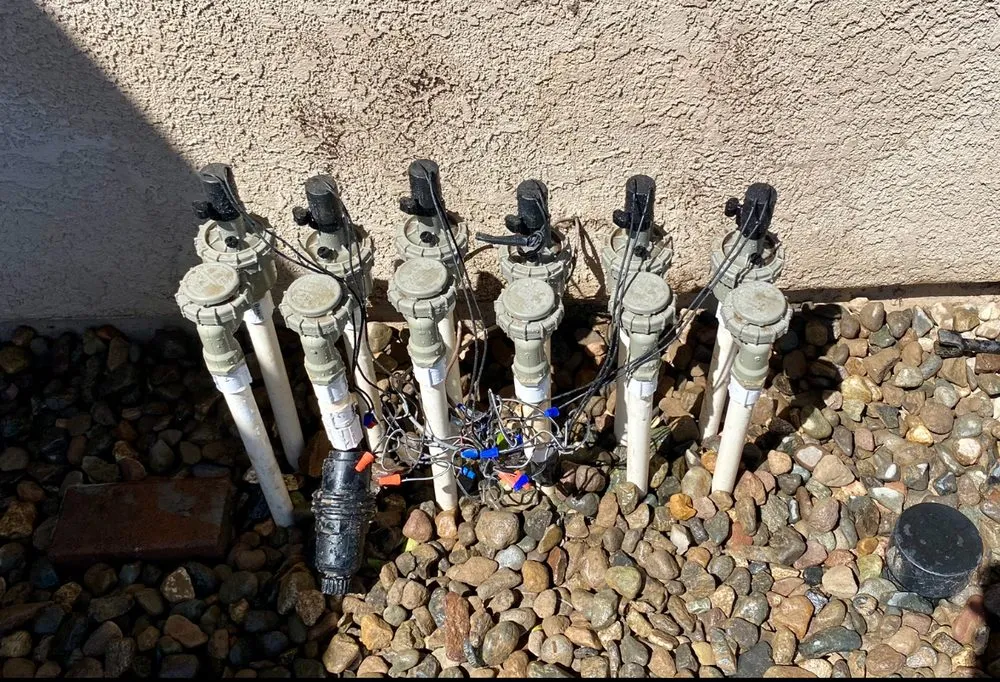 Top-rated landscape installation for outdoor upgrades in Carson City, NV by Greenscape