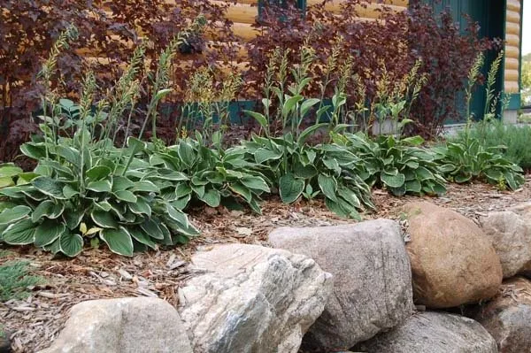 Expert outdoor landscaping in Elk River, MN - Greenscape Companies - Landscaping, Sod & Sprinklers - Elk River