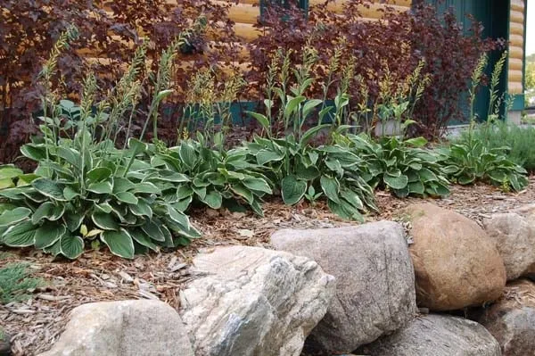 Reliable outdoor landscaping experts serving Mapleton, ND - Greenscape Companies