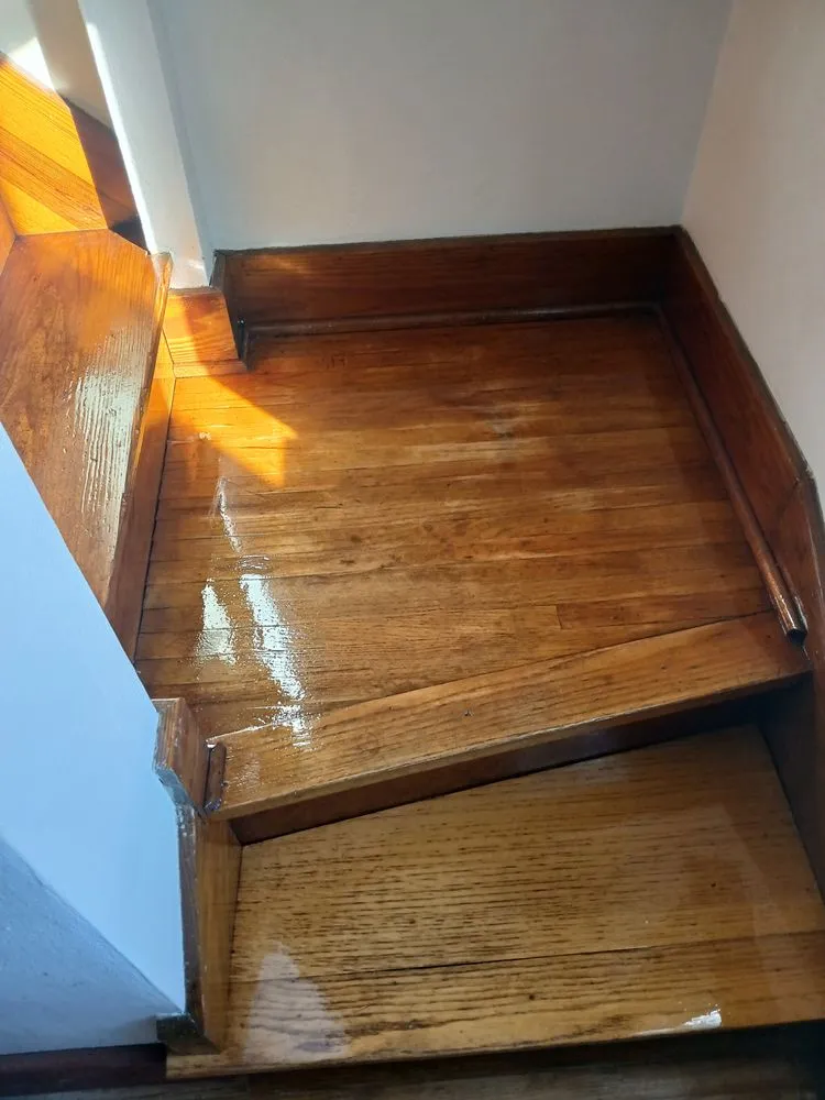 Expert yard cleanup service in Belleville, WI by GreenScape Creation