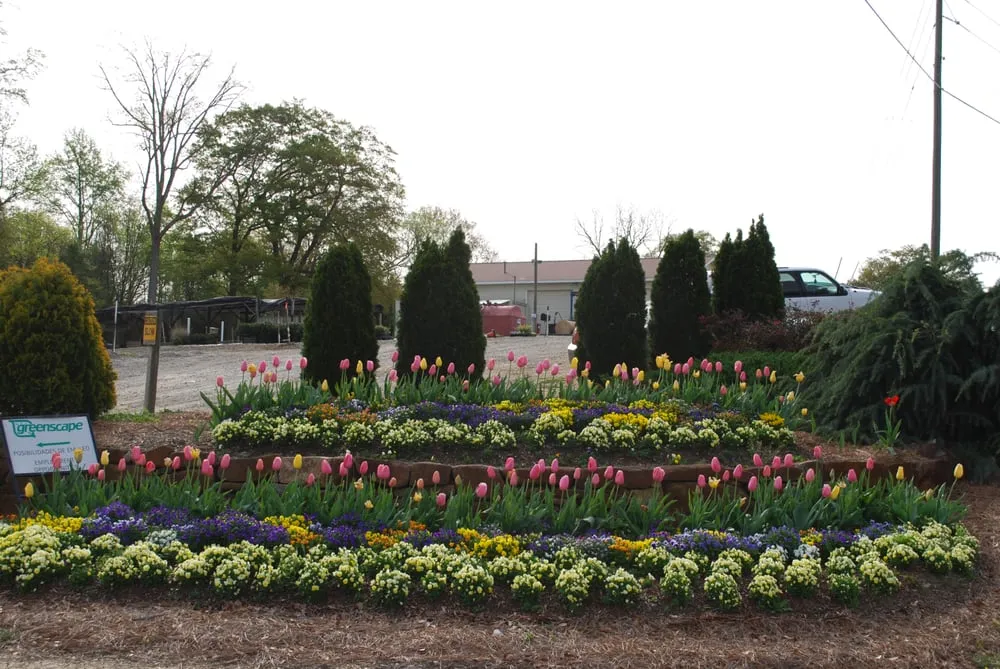 Trusted yard cleanup service in Durham, NC - Greenscape