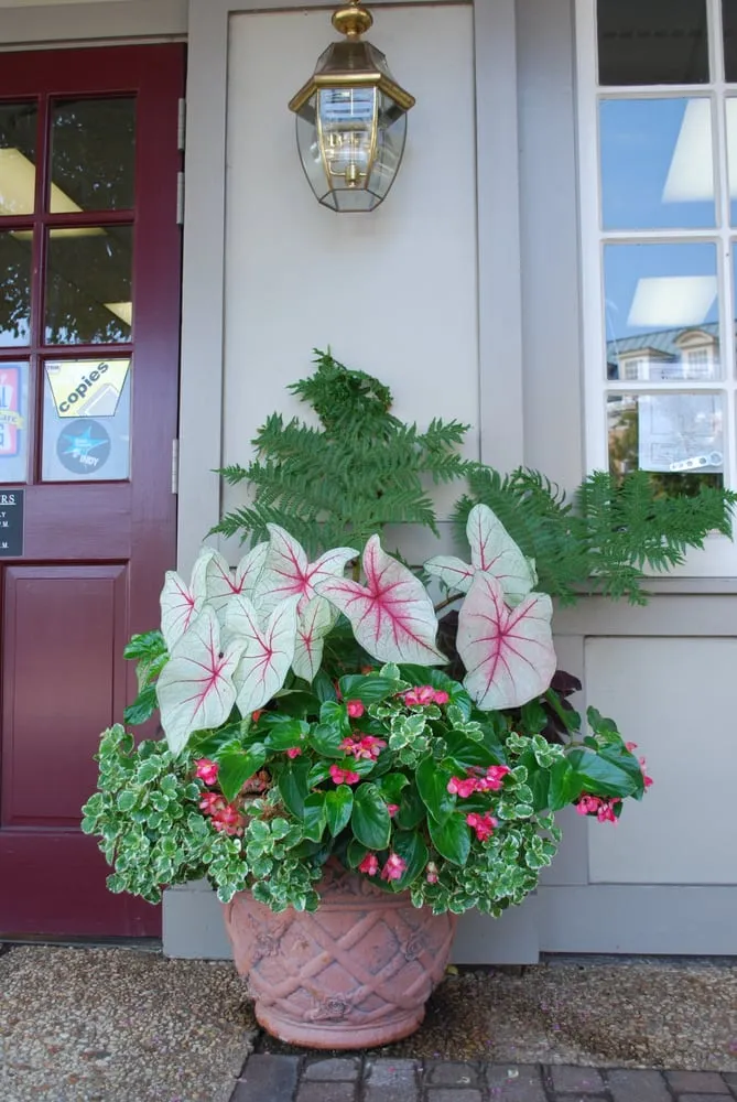 Top-rated outdoor landscaping in Durham, NC by Greenscape