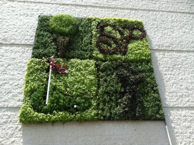 Professional yard maintenance experts serving Durham, NC - Greenscape