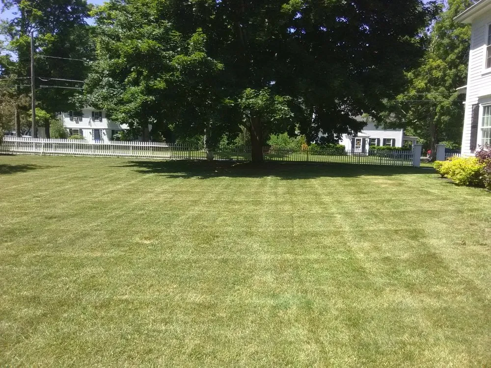 Professional landscaping services in Waterbury, CT - Greenscape General Maintenance Services