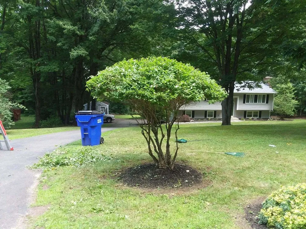 Trusted landscape design in Waterbury, CT - Greenscape General Maintenance Services