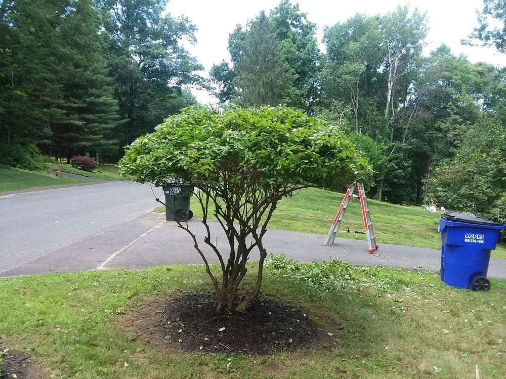 Affordable landscape design in Waterbury, CT - Greenscape General Maintenance Services