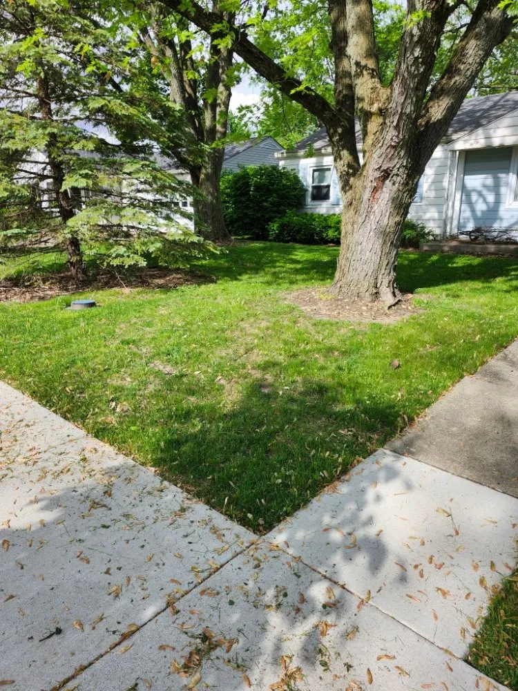 Professional landscaping services experts serving Indianapolis, IN - Greenscape Glory