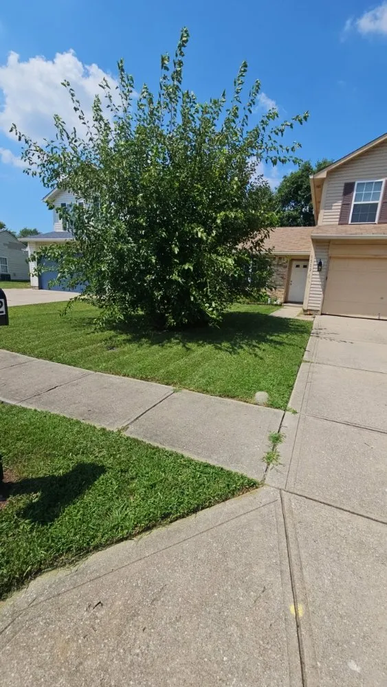 Top-rated landscape design in Indianapolis, IN - Greenscape Glory