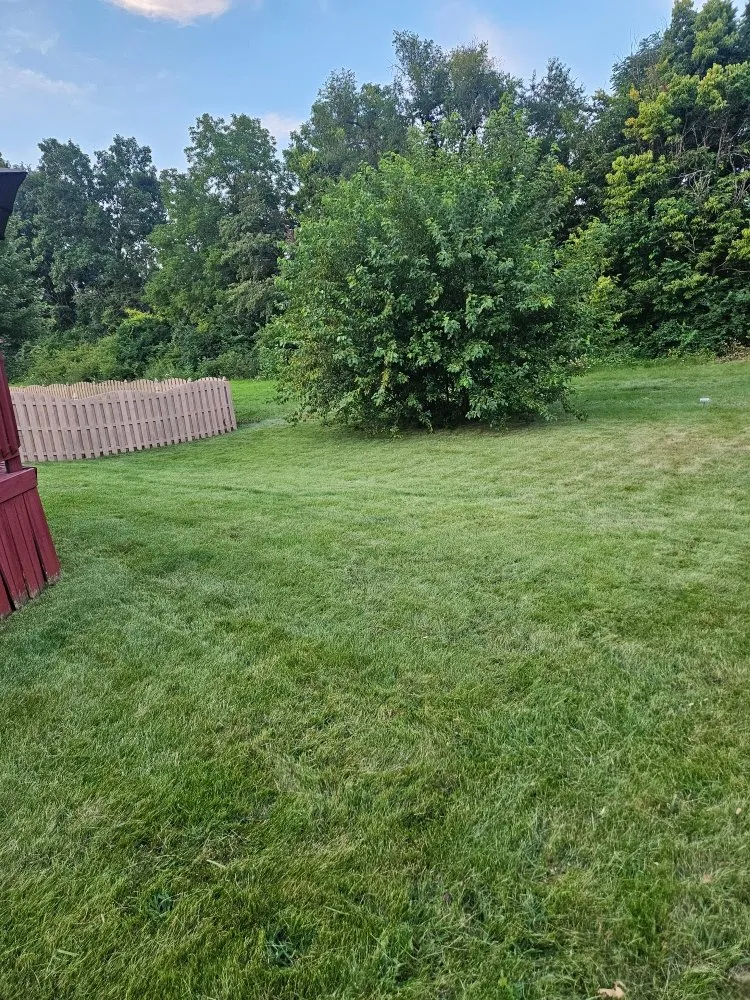 Expert outdoor landscaping for year-round maintenance in Indianapolis, IN by Greenscape Glory