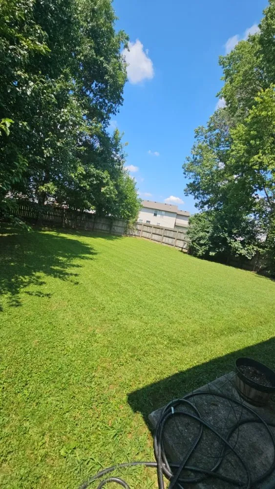 Custom lawn care service for outdoor upgrades across Indianapolis, IN - Greenscape Glory