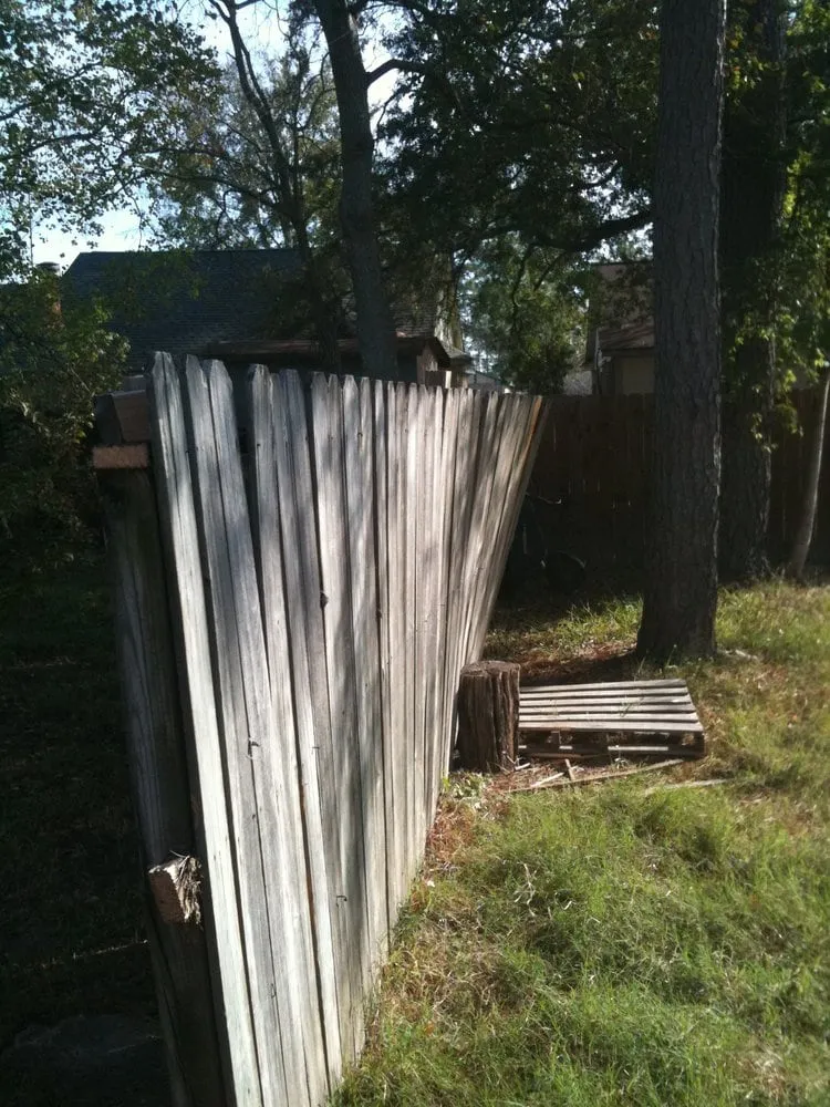 Local yard cleanup service for residential properties in Conroe, TX by Greenscape Innovations