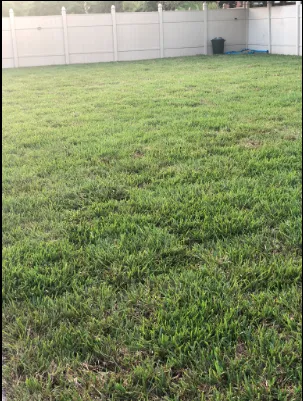 Reliable yard cleanup service in Punta Gorda, FL by Greenscape Innovations