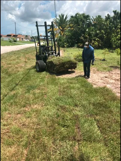 Reliable yard cleanup service in Punta Gorda, FL by Greenscape Innovations