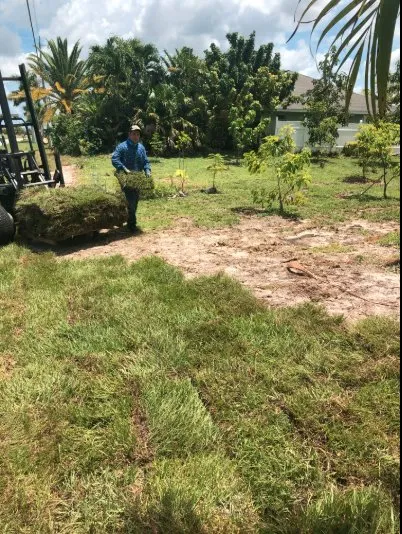 Local landscaping services for outdoor upgrades across Punta Gorda, FL - Greenscape Innovations