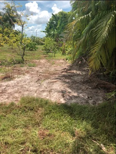 Expert residential landscaping in Punta Gorda, FL - Greenscape Innovations