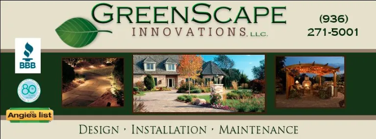 Professional yard cleanup service in Punta Gorda, FL by Greenscape Innovations