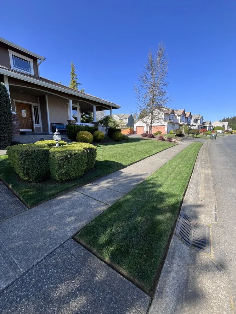 Professional lawn care service experts serving Puyallup, WA - Greenscape Innovations