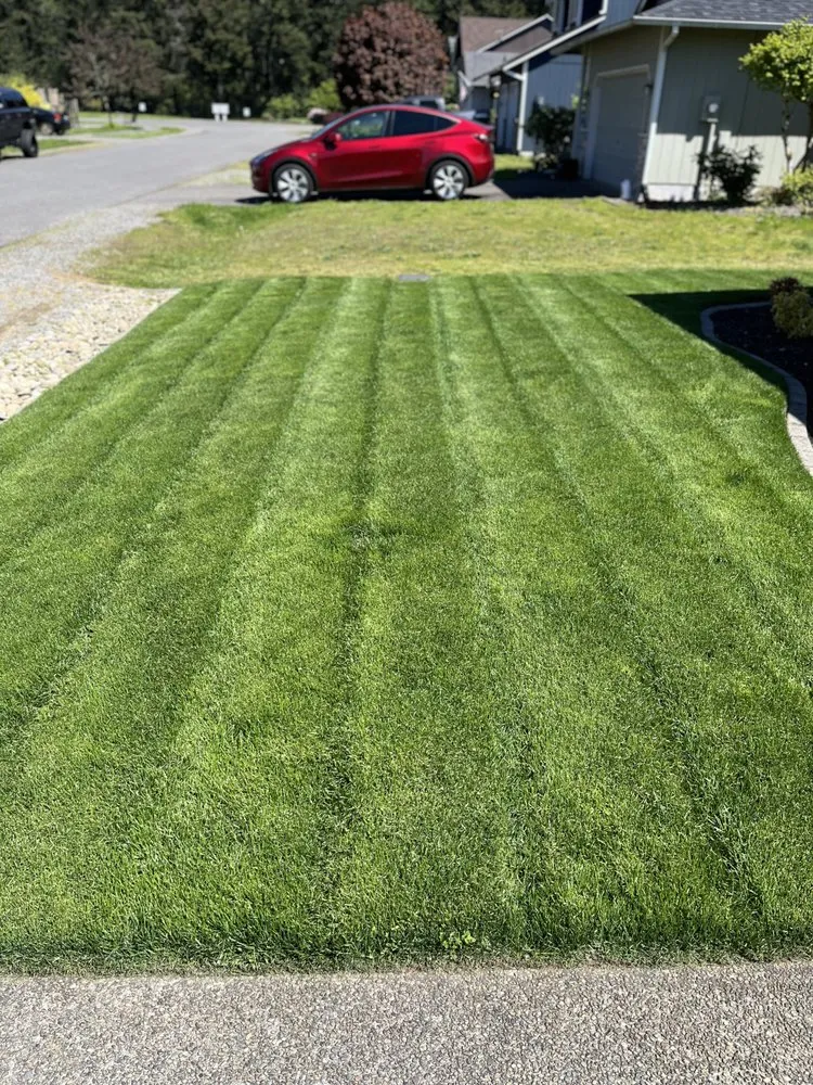 Reliable yard cleanup service experts serving Puyallup, WA - Greenscape Innovations