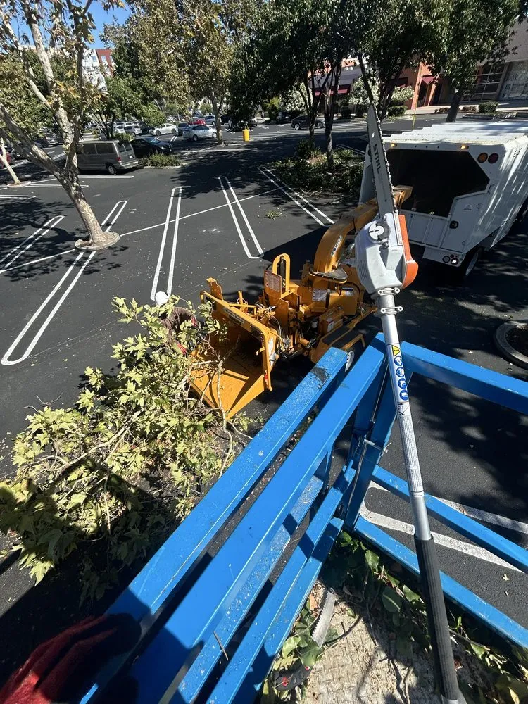 Top-rated lawn mowing service for outdoor upgrades across Salinas, CA - Greenscape Innovations