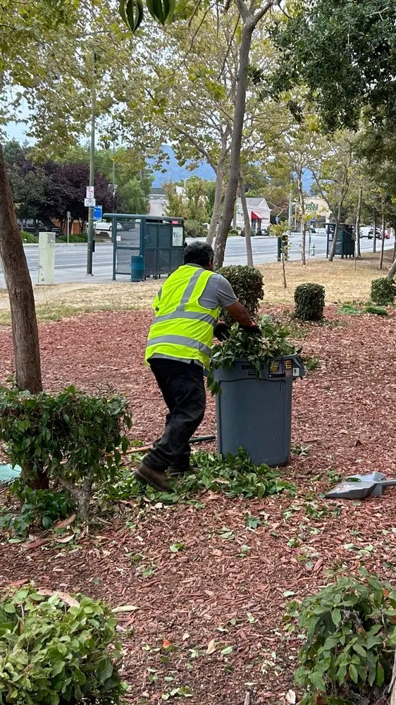 Affordable garden landscaping experts serving Salinas, CA - Greenscape Innovations