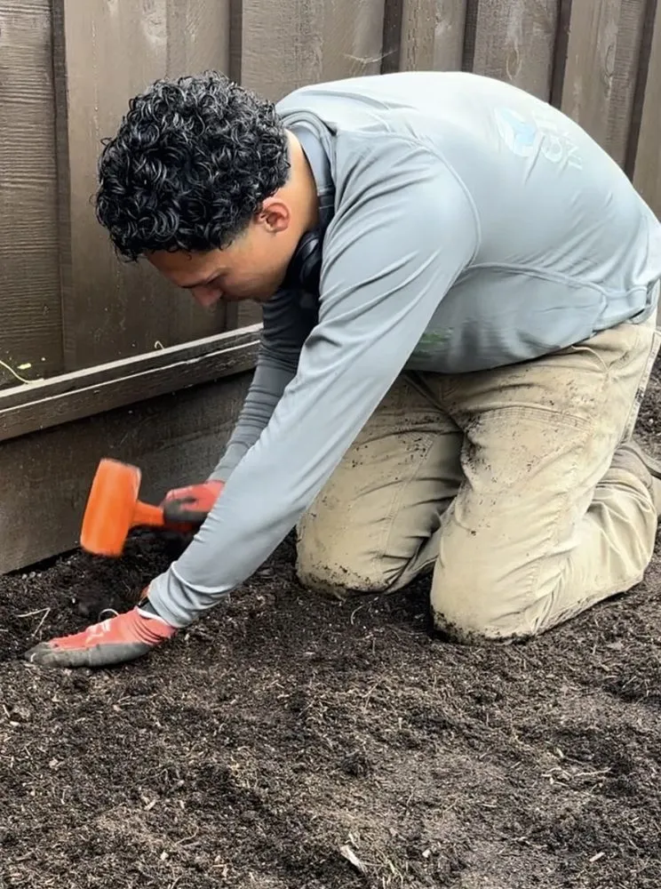 Expert landscape design for outdoor upgrades across Salinas, CA - Greenscape Innovations