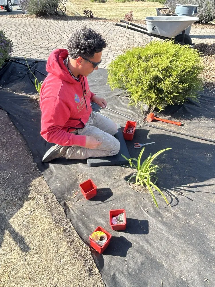 Top-rated lawn care service in Salinas, CA by Greenscape Innovations