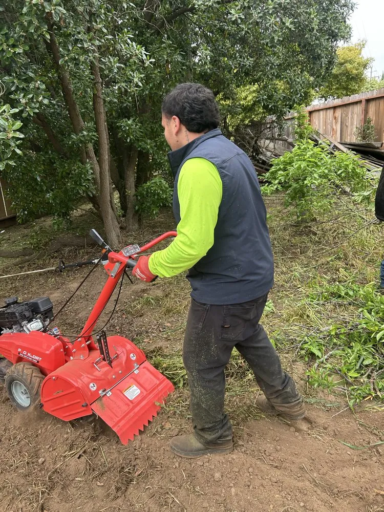 Reliable lawn care service with custom design across Salinas, CA - Greenscape Innovations