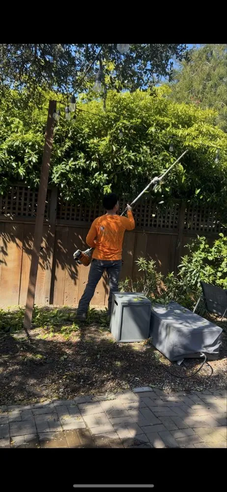 Custom landscape installation in Salinas, CA by Greenscape Innovations