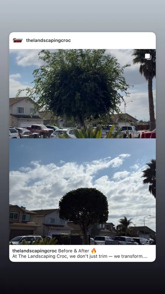 Expert residential landscaping in Salinas, CA - Greenscape Innovations