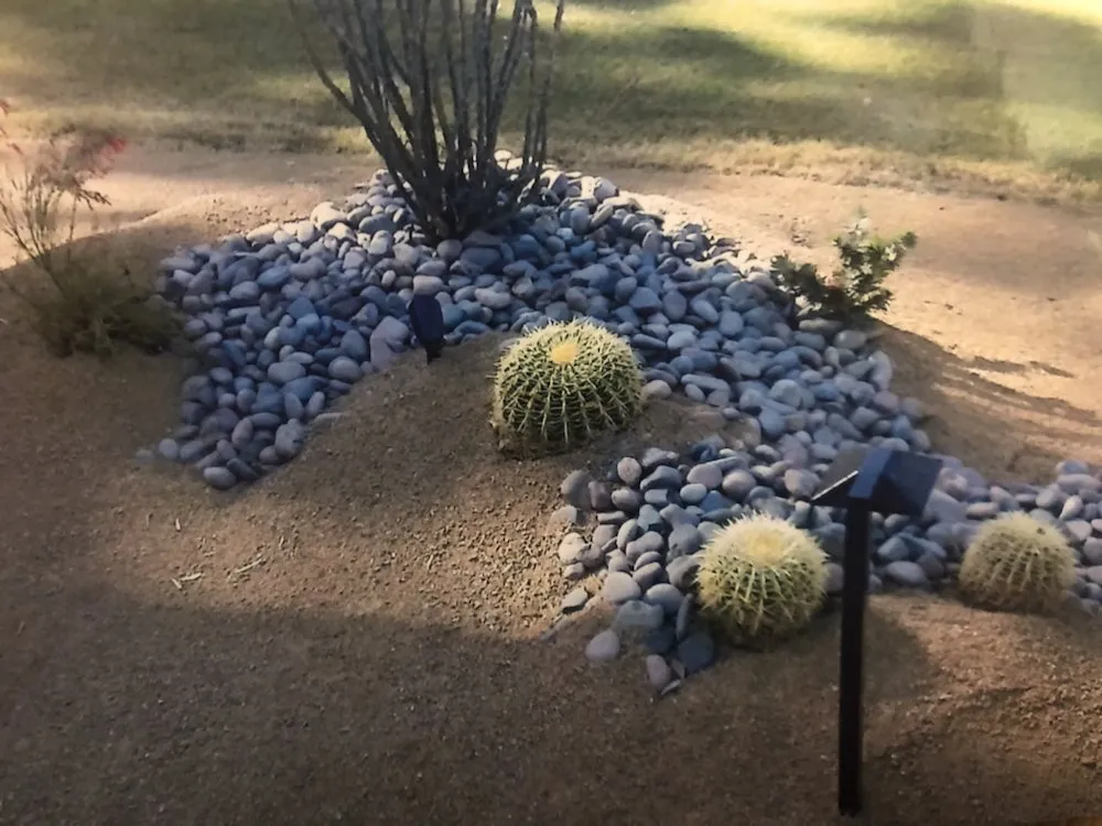 Expert lawn mowing service near you across Cathedral City, CA - Greenscape Landscape