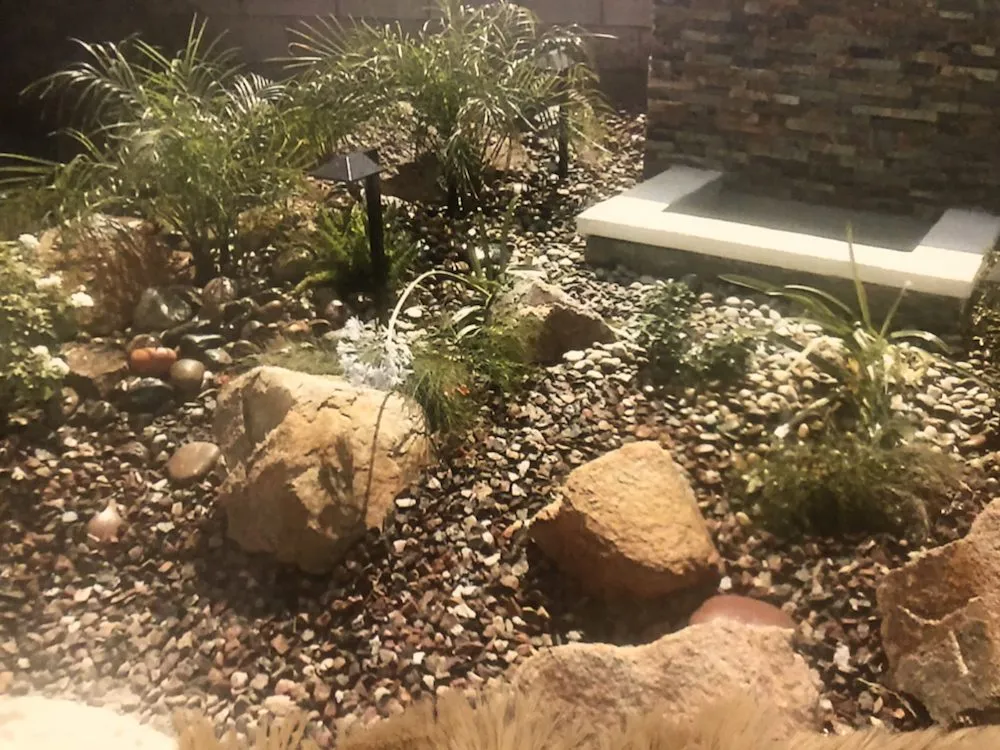 Expert yard cleanup service in Cathedral City, CA by Greenscape Landscape