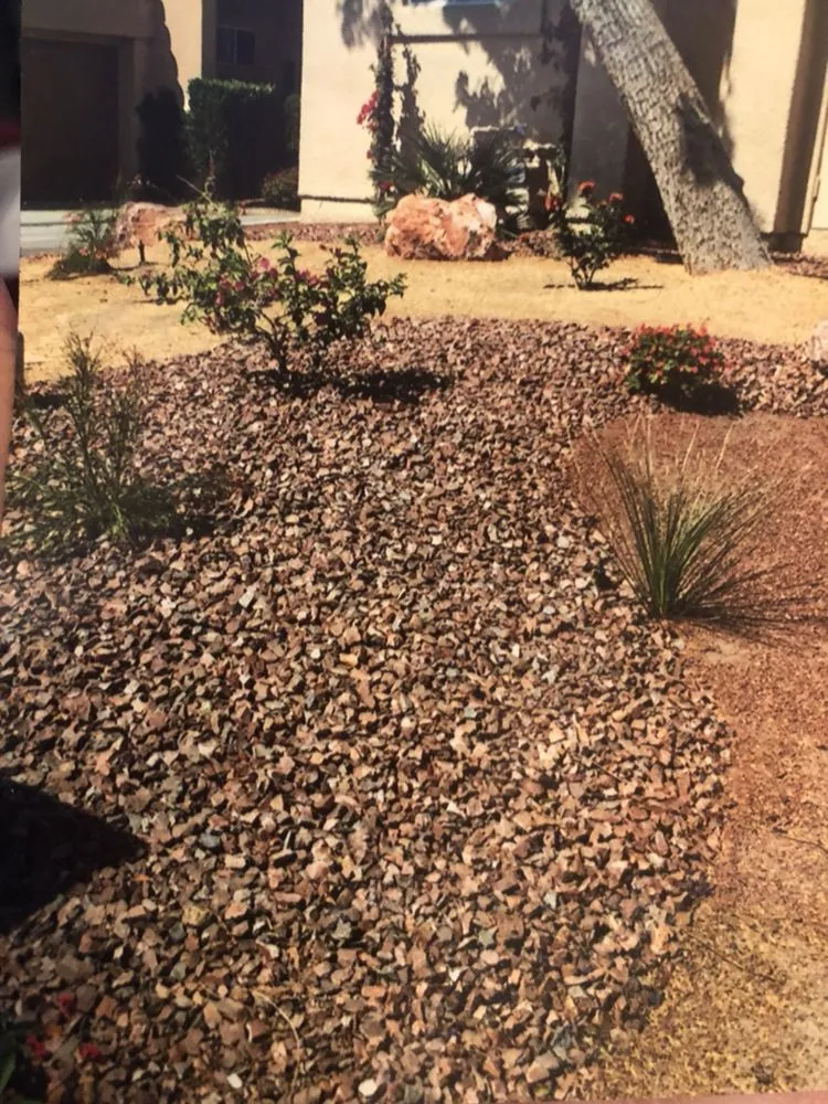 Reliable yard cleanup service experts serving Cathedral City, CA - Greenscape Landscape