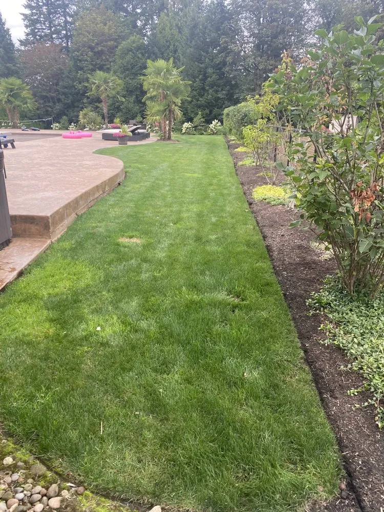 Trusted yard cleanup service in Wilsonville, OR by Greenscape Landscape Maintenance