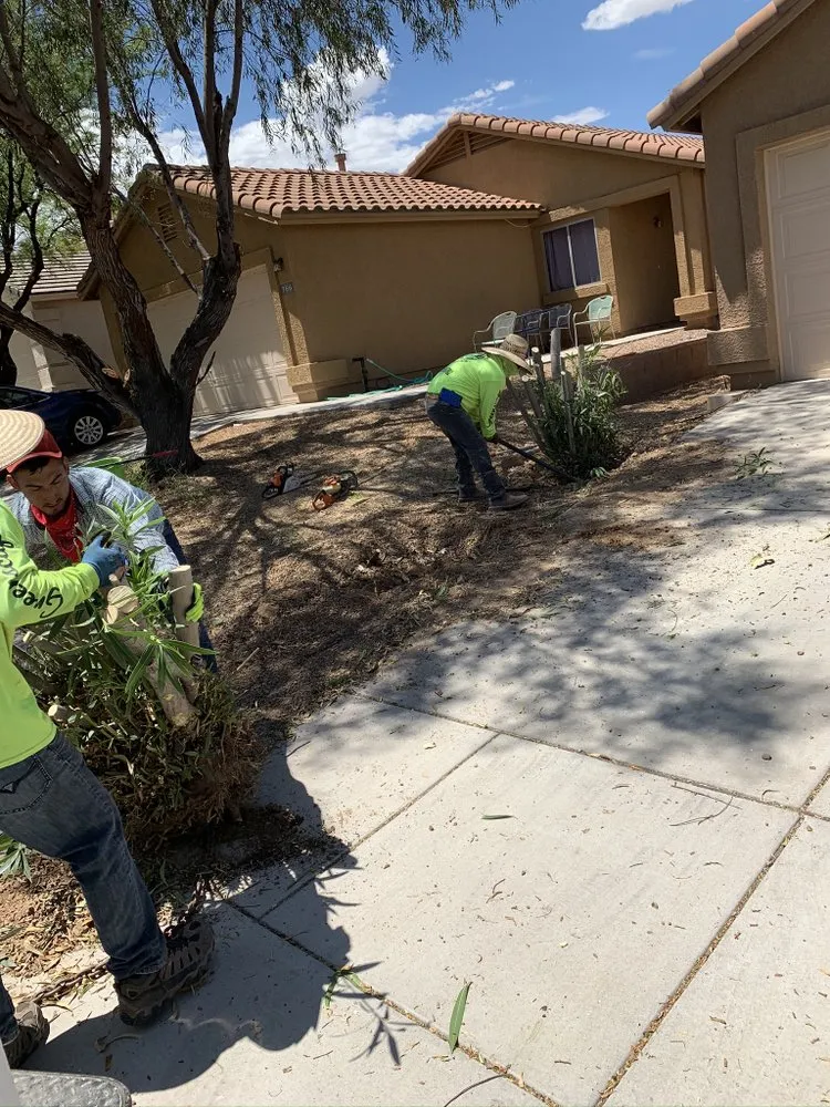Trusted landscaping services in Green Valley, AZ - Greenscape Landscaping