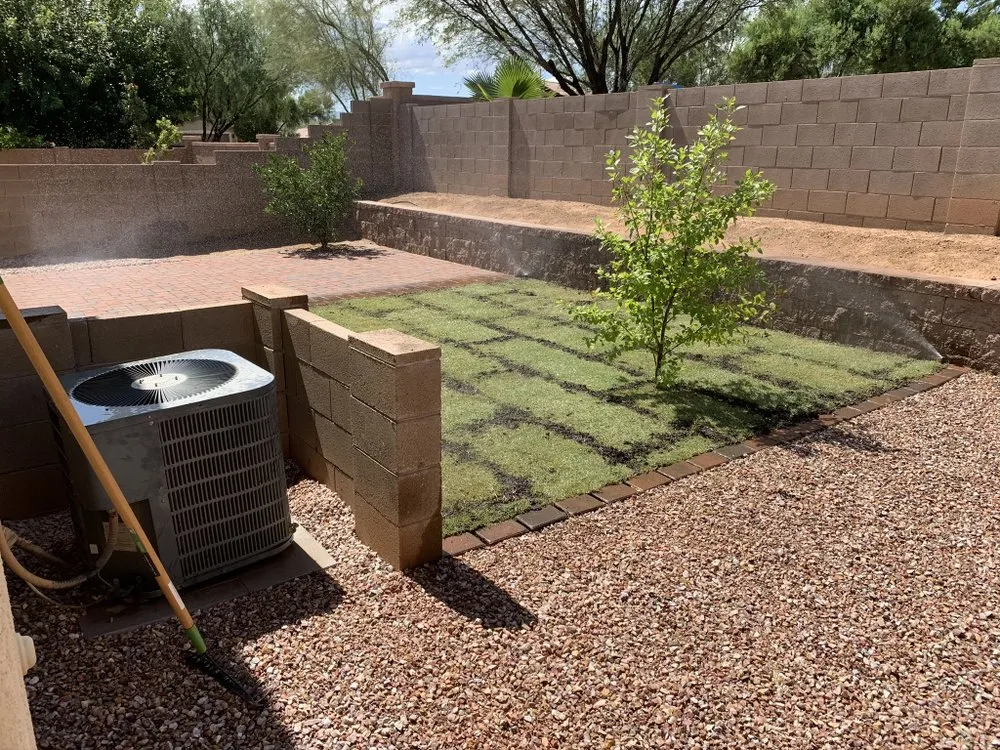 Custom lawn care service for residential properties in Green Valley, AZ by Greenscape Landscaping