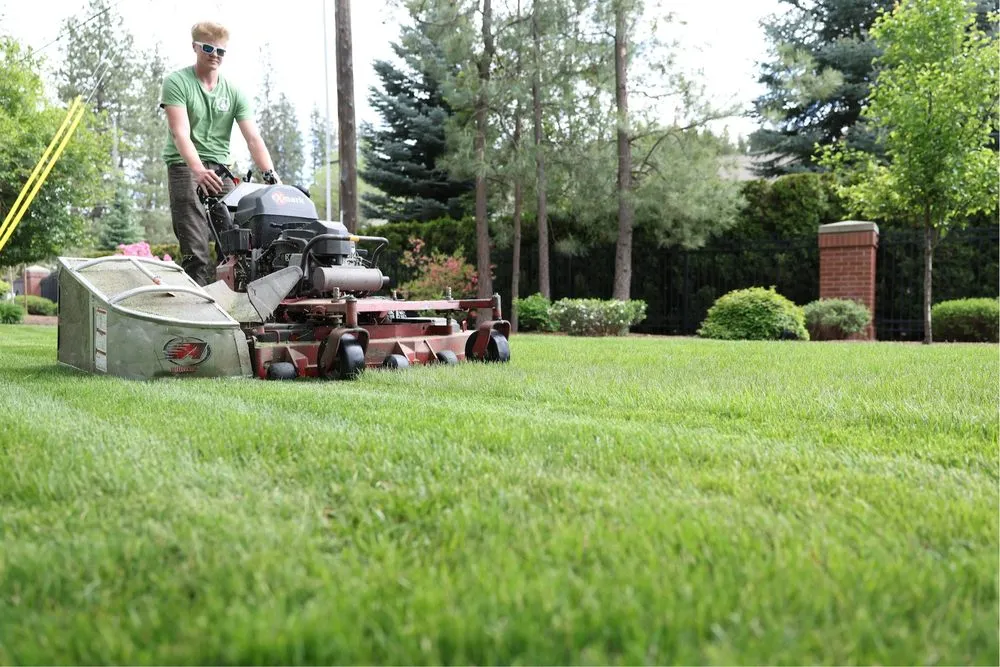 Affordable yard cleanup service for homes across Hayden, ID - Greenscape Landscaping