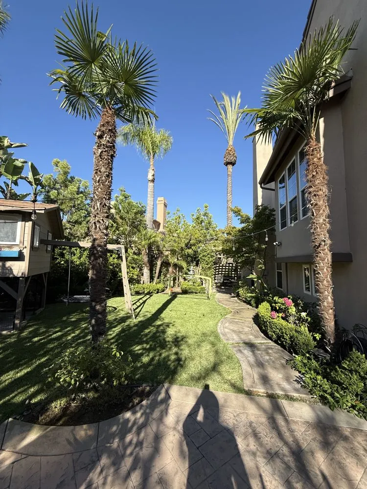 Expert yard cleanup service in Santa Ana, CA by GreenScape Landscaping