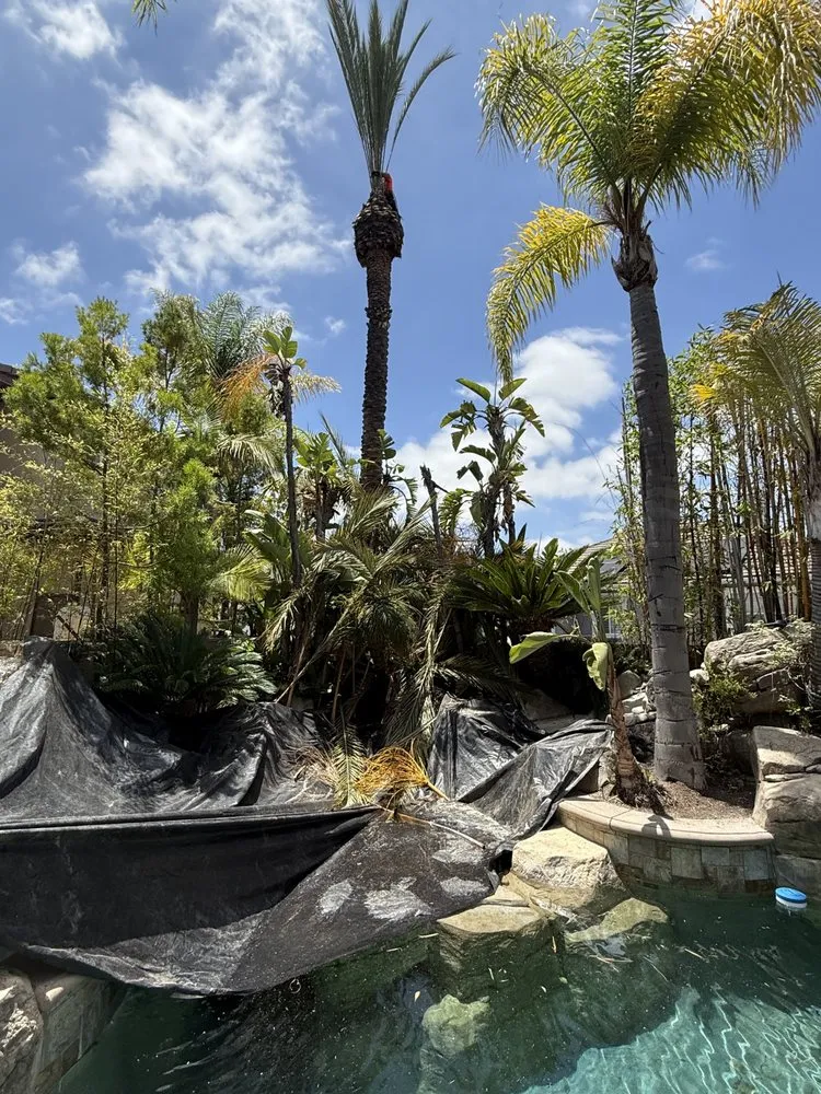 Affordable outdoor landscaping in Santa Ana, CA by GreenScape Landscaping